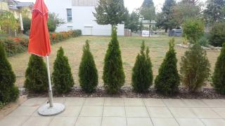 FeWo Tante Emmy - Koserow - 7