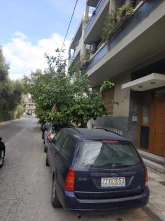 TONI'S Comfy home near Acropolis with Small Garden - Atene - 8