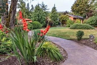 Carson Ridge Luxury Cabins - Carson - 9