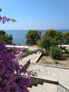 Apartman Viktor - Murter - 8