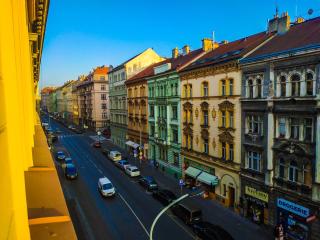 LOVELY Prague Apartment - Praga - 1