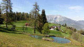 Ferienhaus Bichlhütte - Pruggern - 3