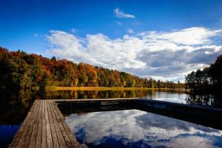 Winiec Family Houses - 1