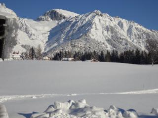 Jagerhäusl - Ramsau am Dachstein - 5