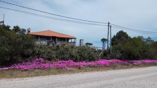 Hotel El Refugio nudista naturista opcional - Chihuahua - 5