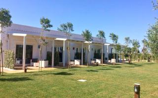 L'Ulivo e la Stella - Porto Cesareo - 8