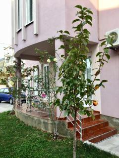 Apartmani Milanovic Susanj - Bar - 6