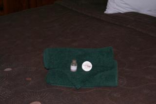 Airport Inn Bed and Breakfast - 4