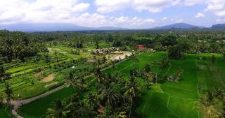 De Klumpu Bali Eco Tradi Stay - Bangli - 0