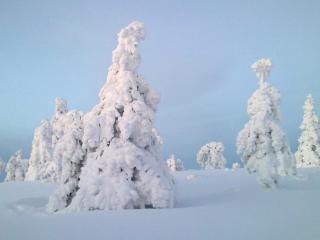Kuerkaltio Resort - 1