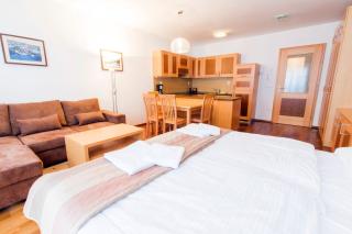Luxury Apartments Bolf - Hočko Pohorje - 1