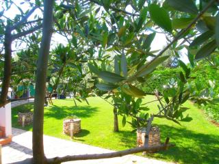 Holiday Home Villa Ivan - 1