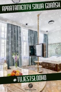 Apartamenty Sowa Gdańsk - Danzica - 9