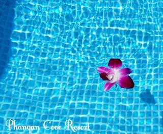 Phangan Cove Beach Resort - Srithanu - 7