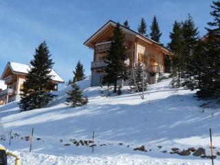 Almhaus Schreibmayer - Hartelsberg - 1