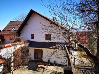 Casa Sofia - Predeluţ - 7