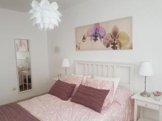 La Quinta Verde - Santa Cruz de la Palma - 1