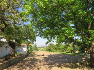 Modderkloof Farm Accommodation - Paarl - 6