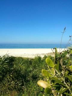 Aluguel Casa em Praia Seca - 2