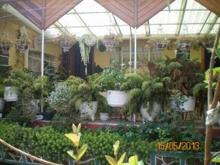 Habitaciones Betito - Mazamitla - 6