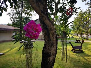 Sophia Resort - Ban Wang Takhrai - 2