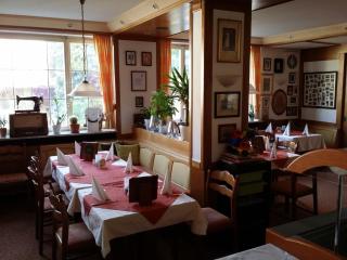 Hotel-Landgasthof Grüner Baum - Dittigheim - Tauberbischofsheim - 1