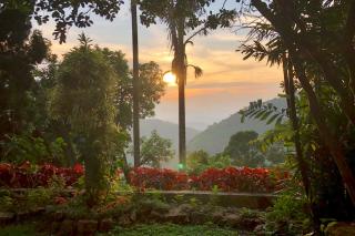 Gammaduwa Heritage Bungalow and Tea Gardens - Matale - 4