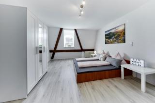 Wohnung 3 - nur 5-10 min vom Europapark - Ettenheim - 1