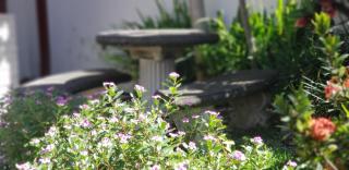 ALAJUELA CITY Hotel & Guest House - Alajuela - 5