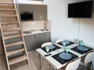 Apartmán Pod Medvědí horou - Loučná nad Desnou - 8