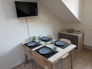 Apartmán Pod Medvědí horou - Loučná nad Desnou - 7