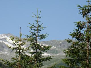 Apart Andrea - Uderns - 2
