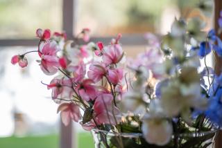 Chalet Snowflake - Livigno - 2
