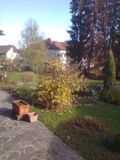 Gasthof Weingut Brand Walter - Gleinstätten - 4
