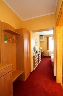 Oldtimer Motorhotel Guntramsdorf - Guntramsdorf - 3