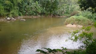 Recanto da natureza - Sana - 3