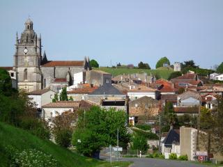 Le Bananier - Saint-Fort-sur-Gironde - 2