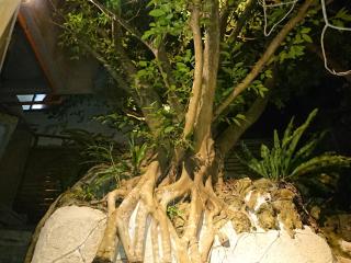 Big Tree JUDO ハウス - Urasoe - 7