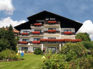 Pension zur Klause - Bodenmais - 0
