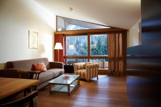 Aparthotel Chalet Wetzlgut - 2