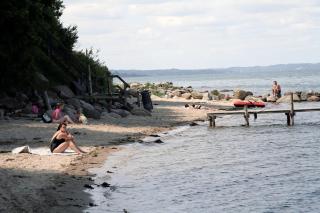 Dancamps Trelde Naes (Camp Site) - Fredericia - 5
