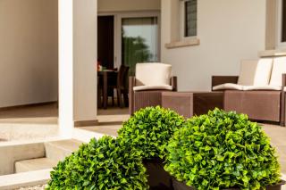 Caneis Apartments - San Teodoro - 4