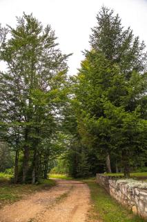 Kuća Za Odmor Jovanović - 2