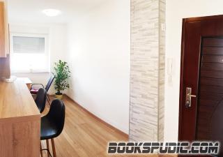 Penthouse Spudic Karlovac - Karlovac - 1