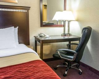 Wingate by Wyndham Grove City - 8