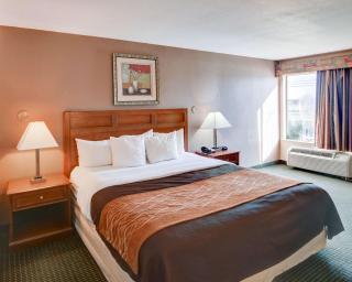 Quality Inn Forest Hill - Fort Worth South - Forest Hill - 4