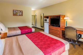 Econo Lodge Lexington Downtown near I-81 - 1