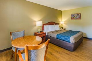 Econo Lodge Lexington Downtown near I-81 - Lexington - 6