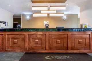 Sleep Inn & Suites Millbrook - Prattville - Millbrook - 8