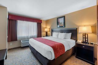 Comfort Suites Denver Tech Center - Centennial - 9